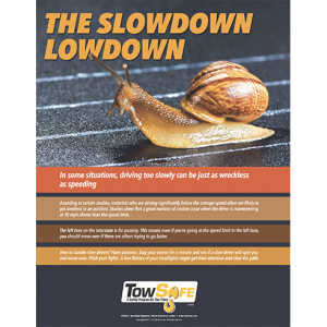 Slow Down Low Down Poster